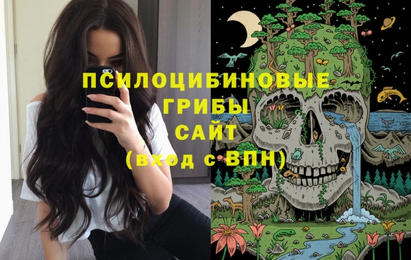 кокс Аркадак