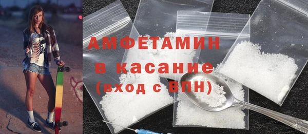 твердый Арсеньев
