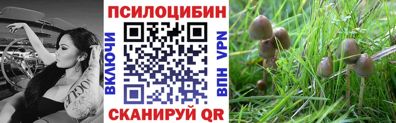 блэк спрут ССЫЛКА  Устюжна  Псилоцибиновые грибы Psilocybe  магазин   
